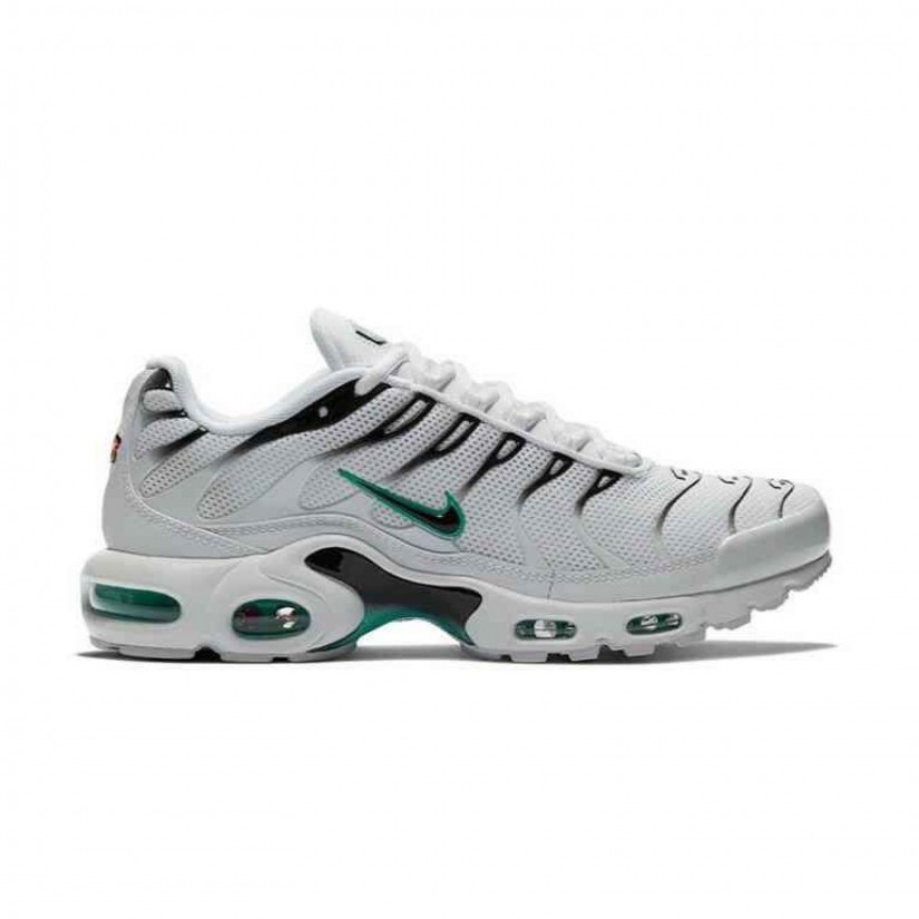 Nike Air Max Plus Dusty Cactus