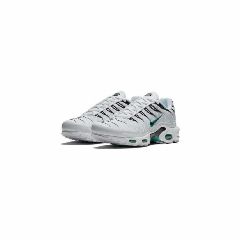 Nike Air Max Plus Dusty Cactus