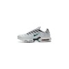 Nike Air Max Plus Dusty Cactus