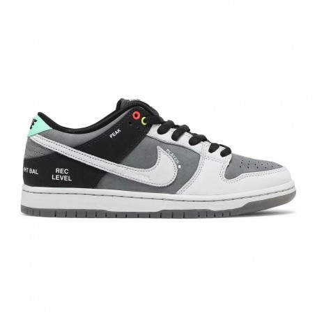 Nike Dunk Low SB Camcorder
